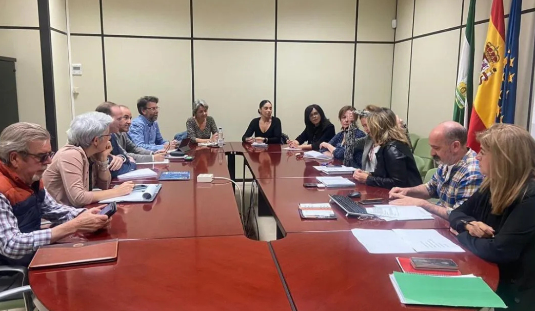 Grupo de Trabajo de la Dirección General de Atención Sociosanitaria, Salud Mental y Adicciones Impulsa la Puesta en Común de Acciones Formativas en Adicciones