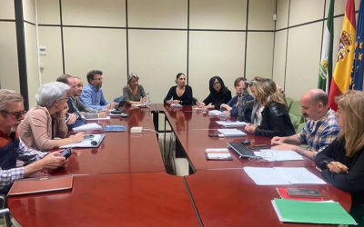 Grupo de Trabajo de la Dirección General de Atención Sociosanitaria, Salud Mental y Adicciones Impulsa la Puesta en Común de Acciones Formativas en Adicciones